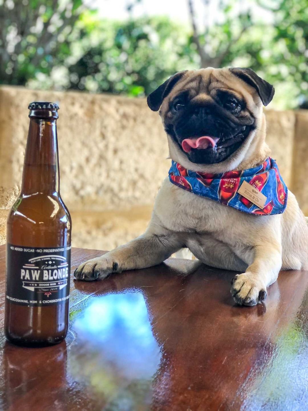 Beer dog shop bandana